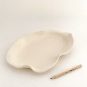 CC09 Undulating Funky Plate (bigger then it looks!)